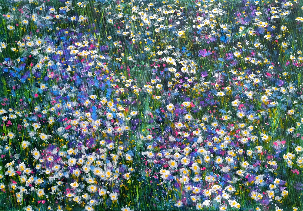 Beskydy flowering meadow