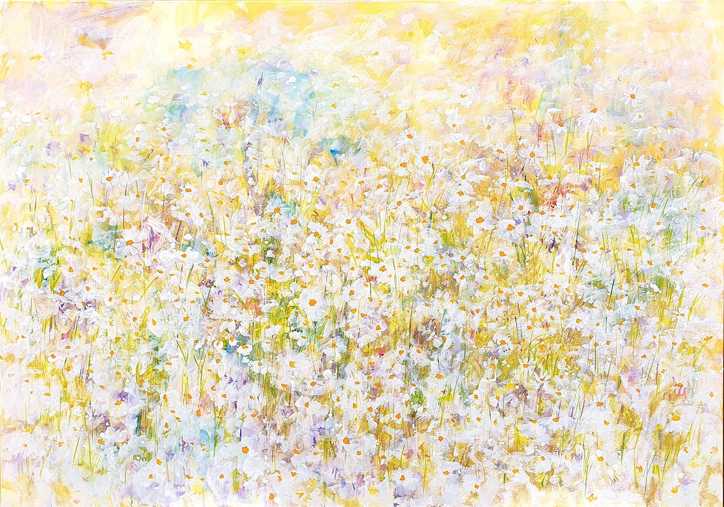 Meadow - Daisies