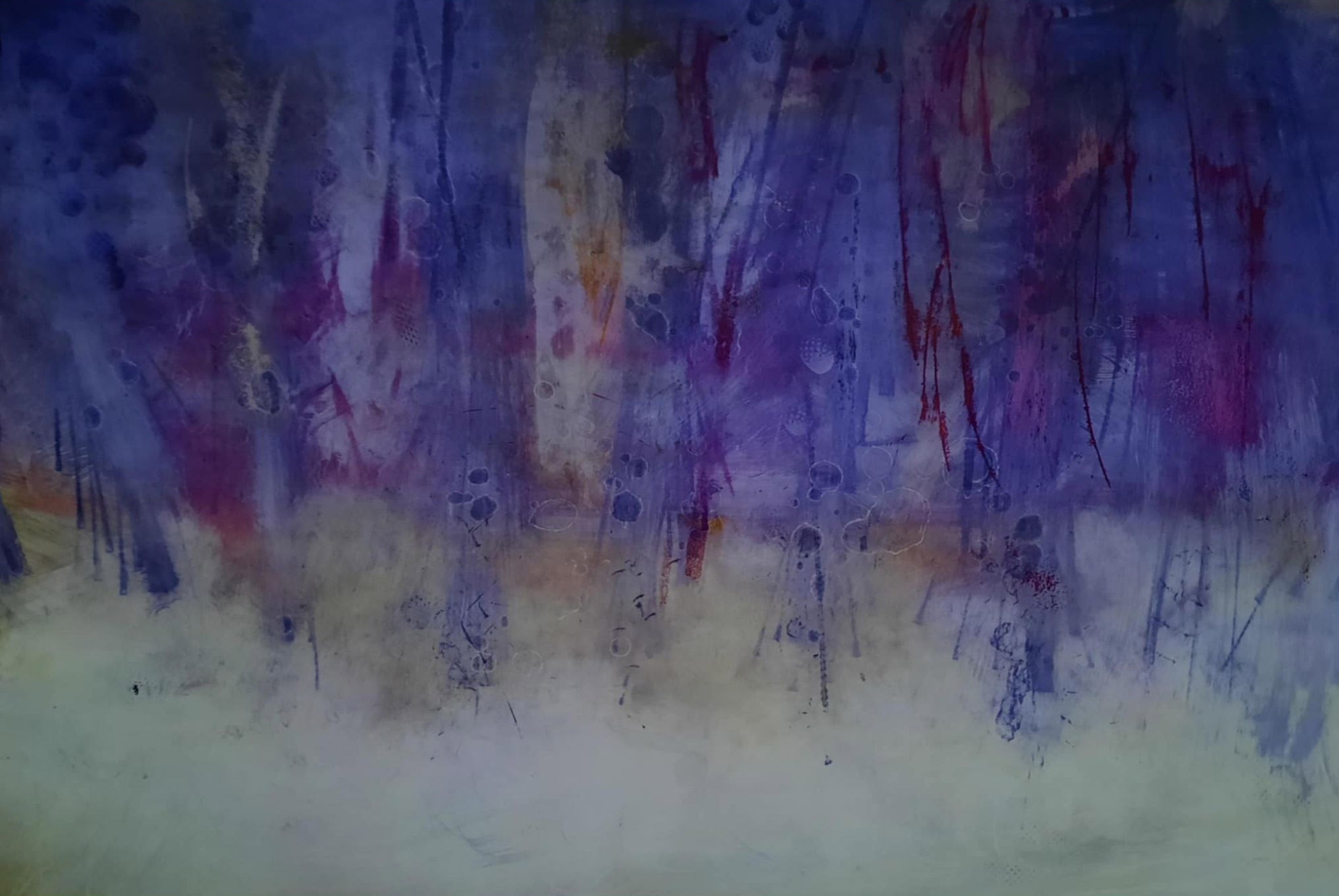 Forest in the Evening