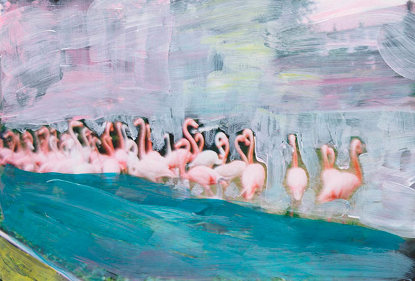 Flamingos II