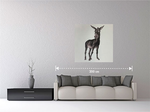 Donkey