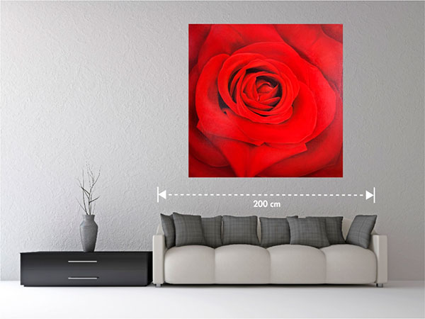 Red Rose