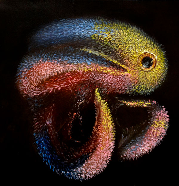 Creature