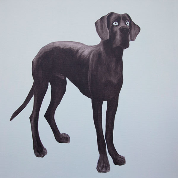 Doga