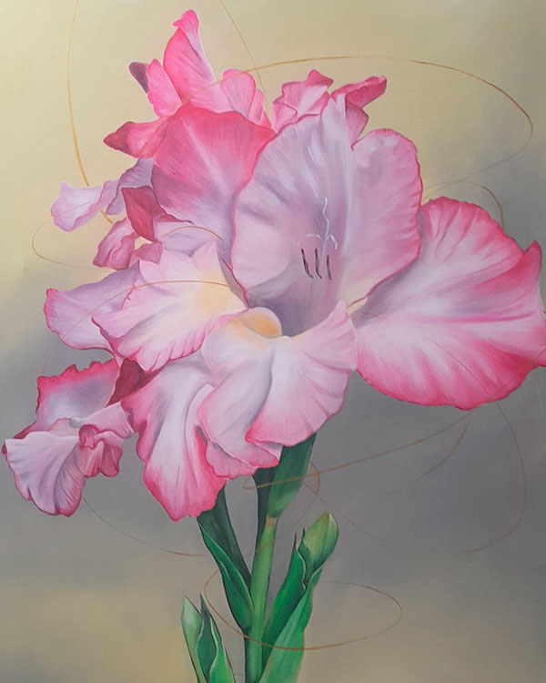 Gladiol