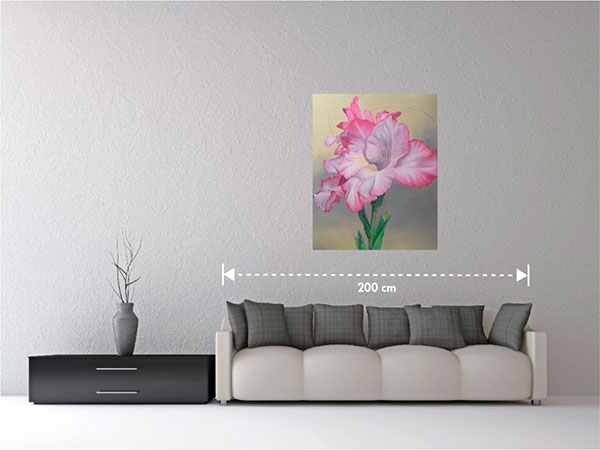 Gladiolus