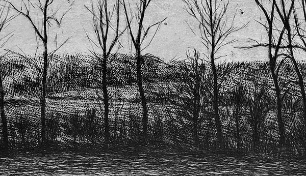 Drained Pond