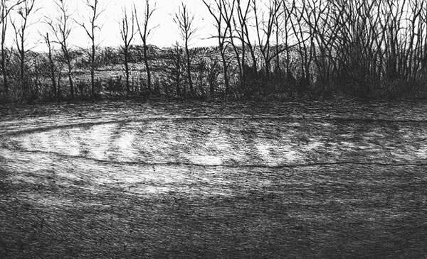 Drained Pond