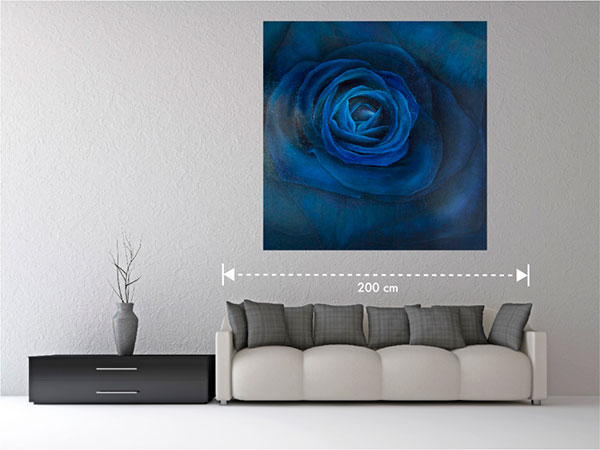 Night Rose