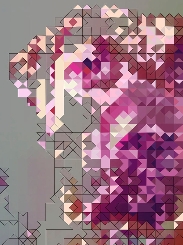 Polydog II