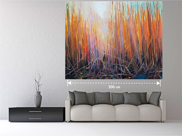 Reeds in Glow in January