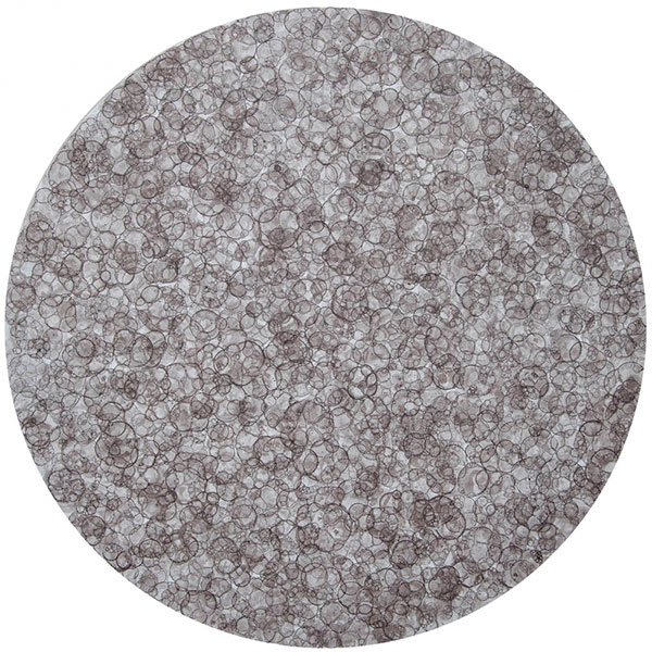 Spálená luna