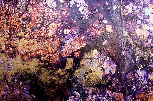 A Moment in All Dimensions XXII