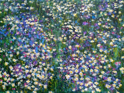 Beskydy flowering meadow