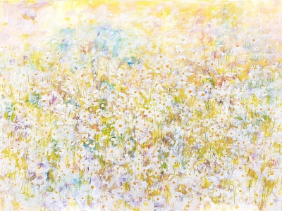 Meadow - Daisies