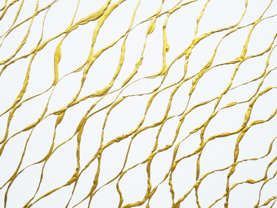 Endless Possibilities XIV